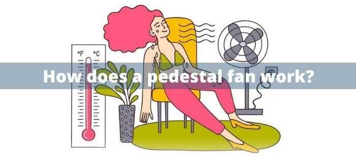How does a pedestal fan work?