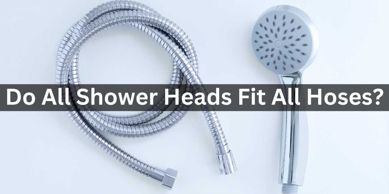 Image of a shower head and its hose